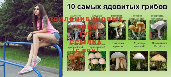 MDMA Абинск