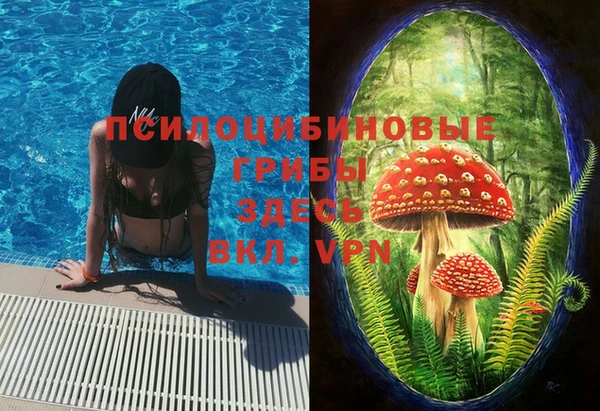 хмурый Алзамай